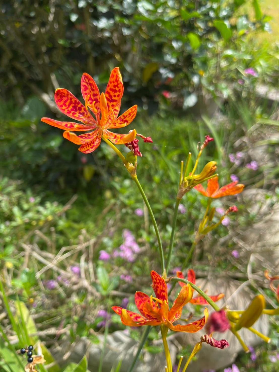 Xian Qing Yu Zhi Homestay ฉีซ่าง ภายนอก รูปภาพ