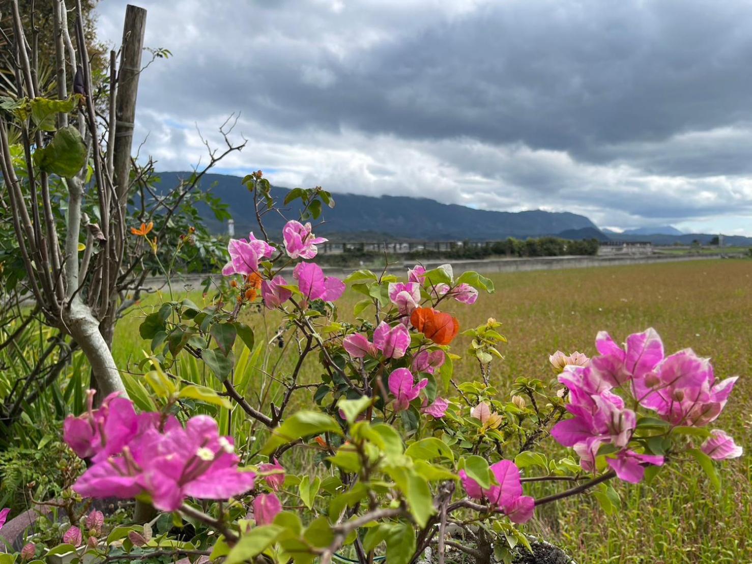 Xian Qing Yu Zhi Homestay ฉีซ่าง ภายนอก รูปภาพ