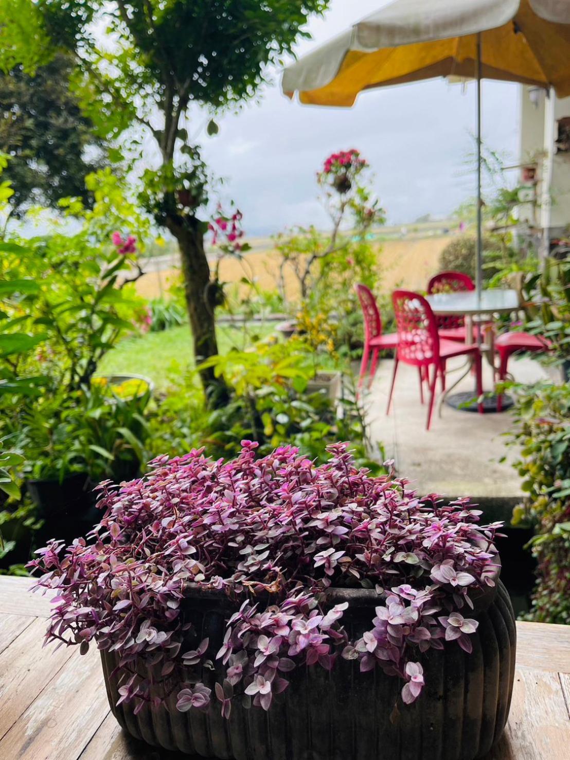 Xian Qing Yu Zhi Homestay ฉีซ่าง ภายนอก รูปภาพ
