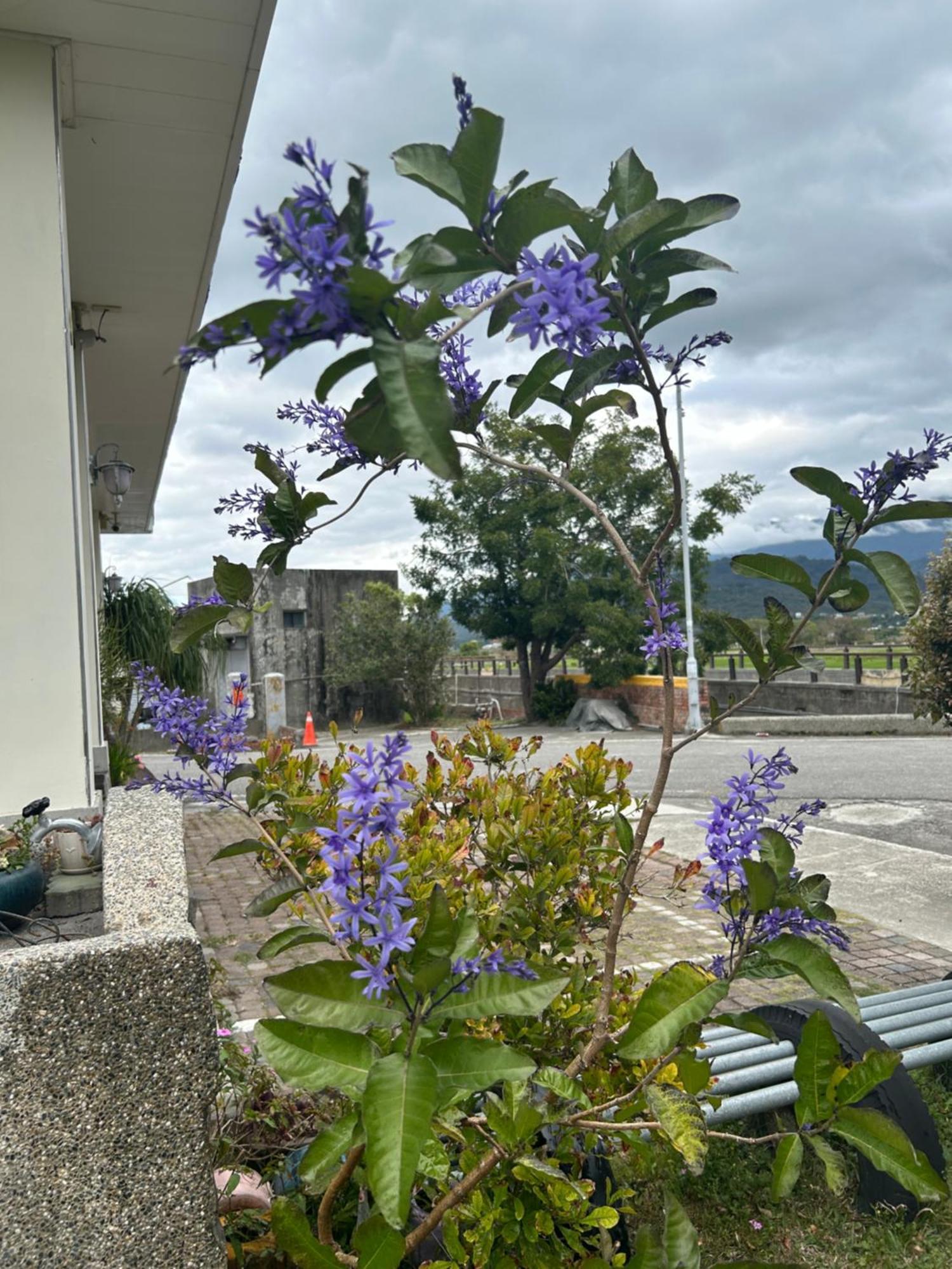 Xian Qing Yu Zhi Homestay ฉีซ่าง ภายนอก รูปภาพ