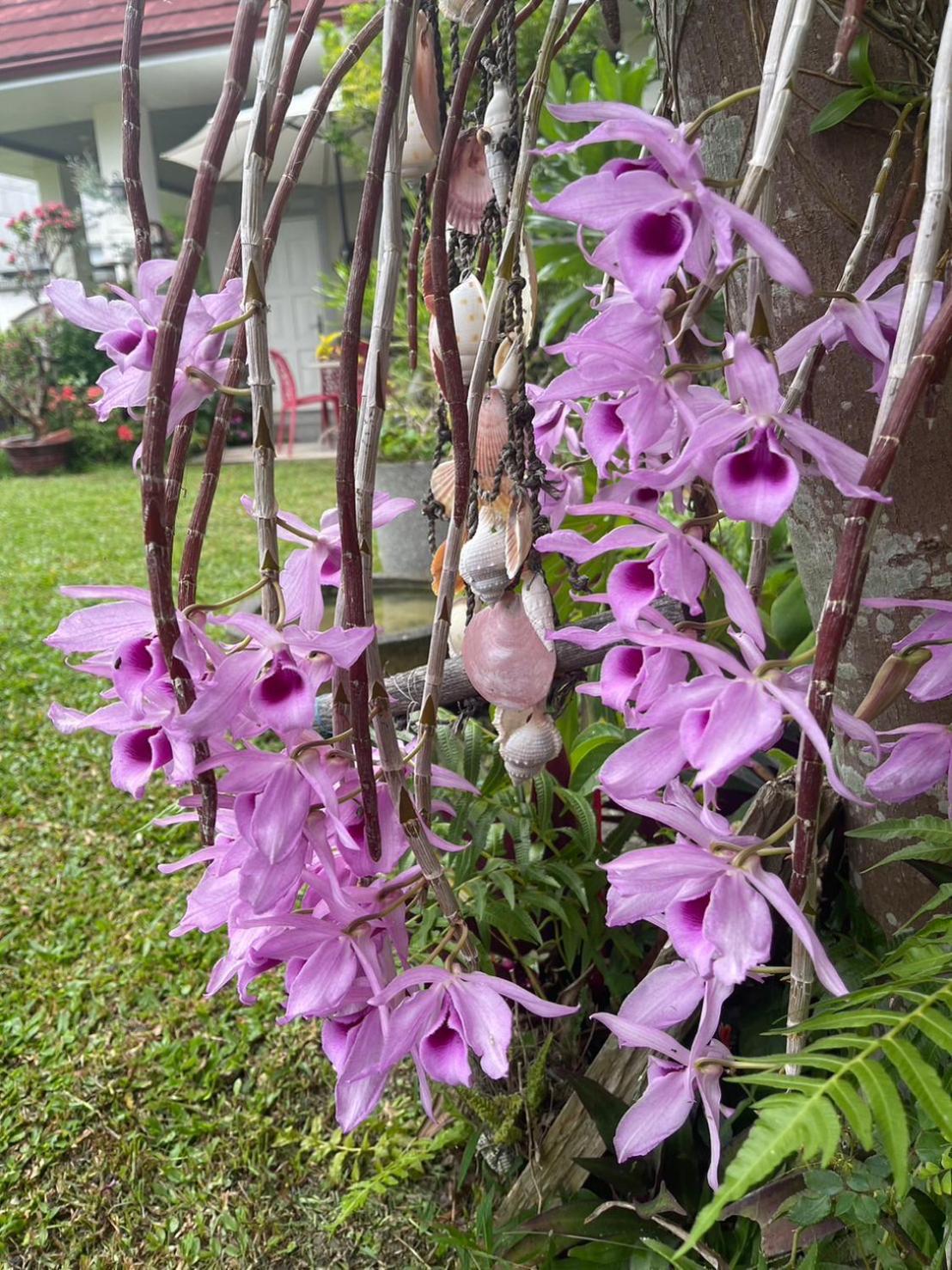 Xian Qing Yu Zhi Homestay ฉีซ่าง ภายนอก รูปภาพ